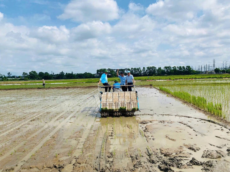 Hội viên nông dân xã Thư Lâm tích cực gieo cấy lúa vụ mùa năm 2025 đúng khung thời vụ- Ảnh 4.