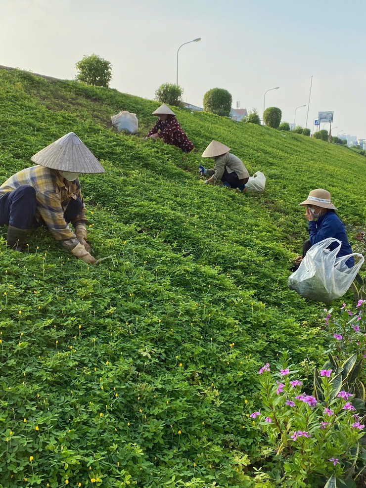 Hội phụ nữ phường Bồ Đề với truyền thống "Uống nước nhớ nguồn- Ảnh 16.