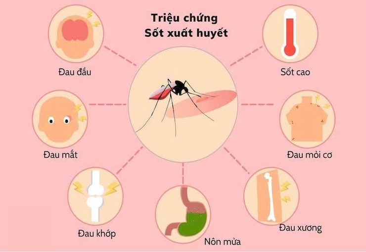 Phòng chống Sốt xuất huyết trong mùa cao điểm 

- Ảnh 1.