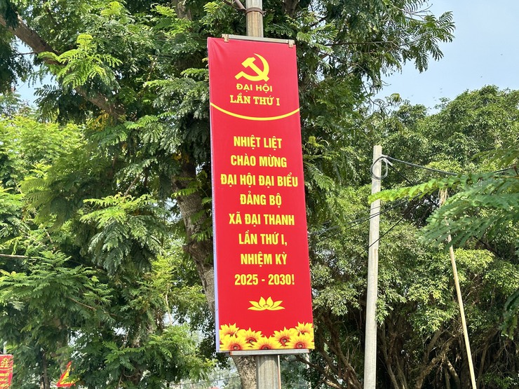 Xã Đại Thanh tăng cường công tác trang trí, tuyên truyền, vệ sinh môi trường, chỉnh trang cảnh quan đô thị Chào mừng Đại hội Đảng bộ xã Đại Thanh lần thứ I nhiệm kỳ 2025-2030, Chào mừng Kỷ niệm 80 năm Cách mạng Tháng tám và Quốc khánh 2/9- Ảnh 7.