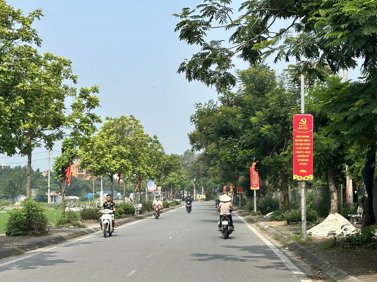 Xã Đại Thanh tăng cường công tác trang trí, tuyên truyền, vệ sinh môi trường, chỉnh trang cảnh quan đô thị Chào mừng Đại hội Đảng bộ xã Đại Thanh lần thứ I nhiệm kỳ 2025-2030, Chào mừng Kỷ niệm 80 năm Cách mạng Tháng tám và Quốc khánh 2/9- Ảnh 1.