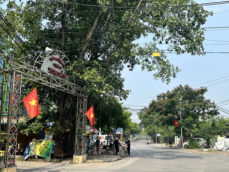Xã Đại Thanh tăng cường công tác trang trí, tuyên truyền, vệ sinh môi trường, chỉnh trang cảnh quan đô thị Chào mừng Đại hội Đảng bộ xã Đại Thanh lần thứ I nhiệm kỳ 2025-2030, Chào mừng Kỷ niệm 80 năm Cách mạng Tháng tám và Quốc khánh 2/9- Ảnh 6.