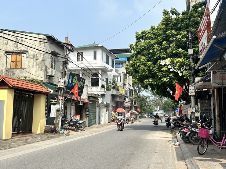 Xã Đại Thanh tăng cường công tác trang trí, tuyên truyền, vệ sinh môi trường, chỉnh trang cảnh quan đô thị Chào mừng Đại hội Đảng bộ xã Đại Thanh lần thứ I nhiệm kỳ 2025-2030, Chào mừng Kỷ niệm 80 năm Cách mạng Tháng tám và Quốc khánh 2/9- Ảnh 8.