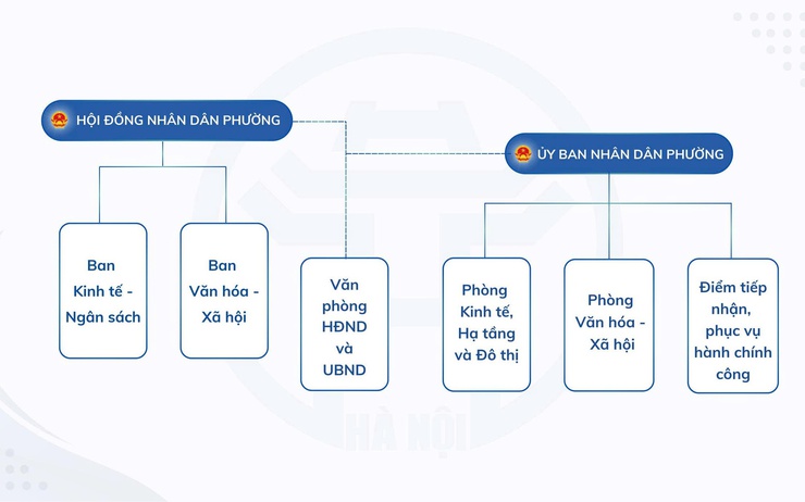 Sơ đồ bộ máy phường Nghĩa Đô- Ảnh 1.