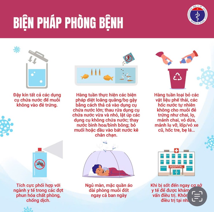 Cảnh báo sốt xuất huyết đang tăng cao - chủ động phòng bệnh từ hôm nay- Ảnh 5.
