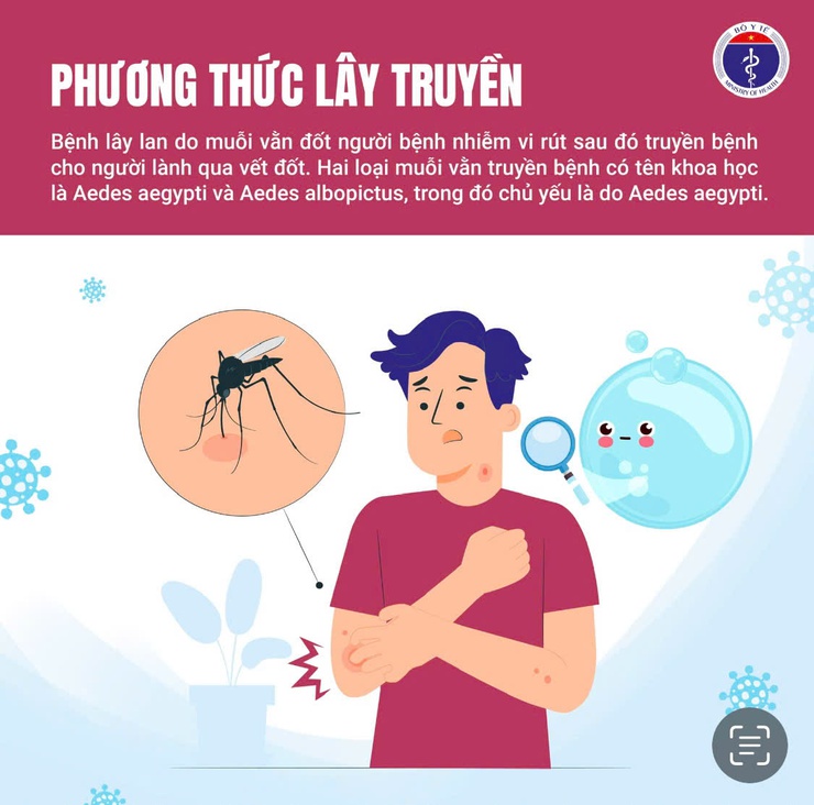 Cảnh báo sốt xuất huyết đang tăng cao - chủ động phòng bệnh từ hôm nay- Ảnh 3.