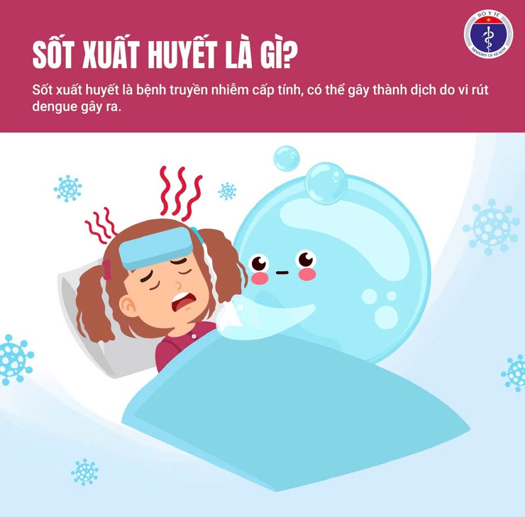 Cảnh báo sốt xuất huyết đang tăng cao - chủ động phòng bệnh từ hôm nay- Ảnh 1.