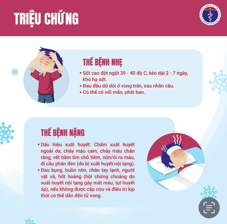 Cảnh báo sốt xuất huyết đang tăng cao - chủ động phòng bệnh từ hôm nay- Ảnh 2.