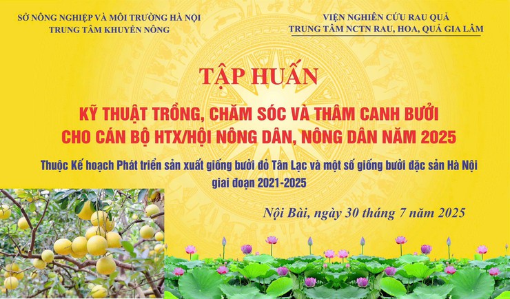 TẬP HUẤN KỸ THUẬT TRỒNG, CHĂM SÓC VÀ THÂM CANH CÂY BƯỞI- Ảnh 1.