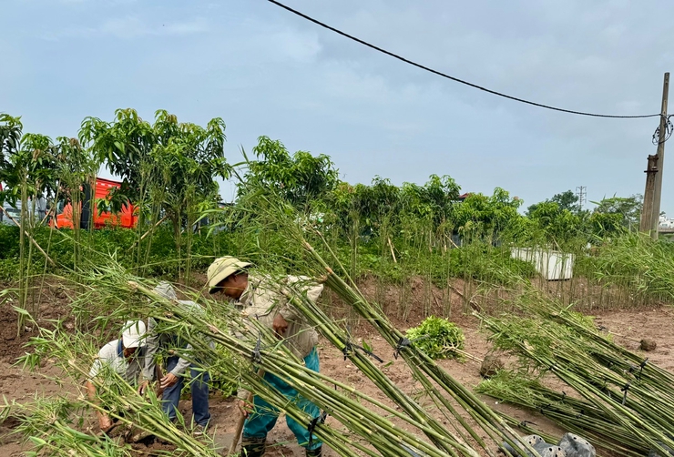 Phường Lĩnh Nam rực rỡ cờ hoa chào mừng Đại hội Đại biểu Đảng bộ Phường lần thứ I, nhiệm kỳ 2025-2030- Ảnh 11.