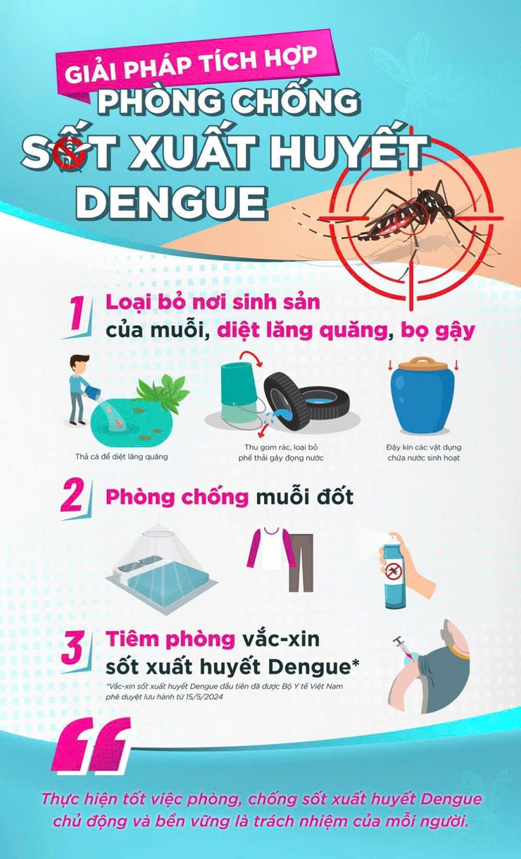 Cách phòng, tránh sốt xuất huyết hiệu quả- Ảnh 2.