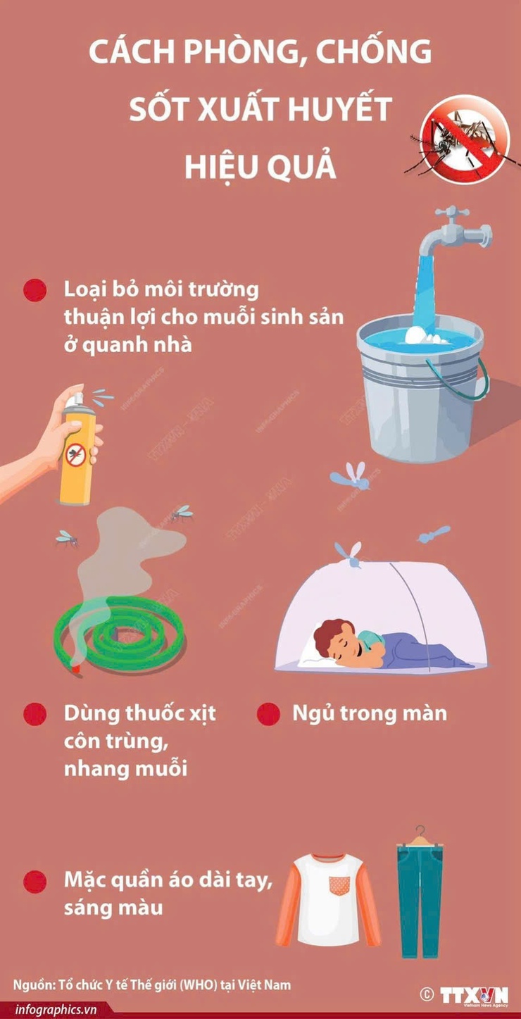 Cách phòng, tránh sốt xuất huyết hiệu quả- Ảnh 1.