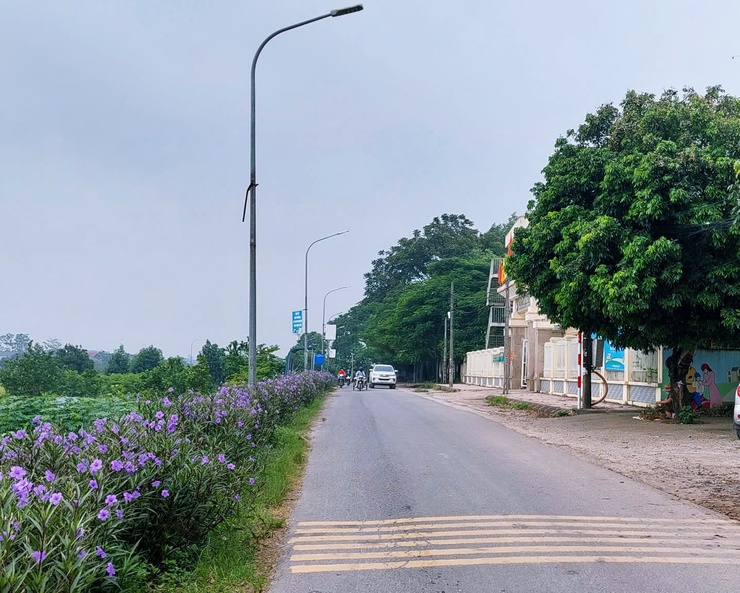 Phú Nghĩa quyết tâm thay đổi từ nhận thức đến hành động đối với công tác bảo vệ môi trường

- Ảnh 1.