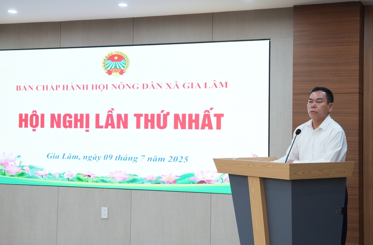 Hội nghị lần thứ Nhất Ban Chấp hành HND xã Gia Lâm- Ảnh 4.