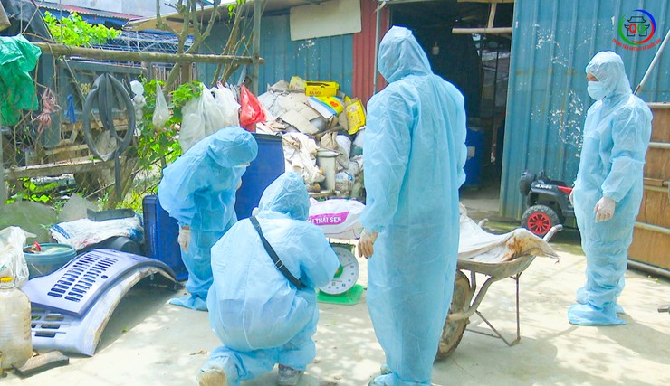 Xã Quốc Oai ngăn chặn và xử lý dứt điểm ổ dịch Tả lợn châu Phi trên địa bàn- Ảnh 5.