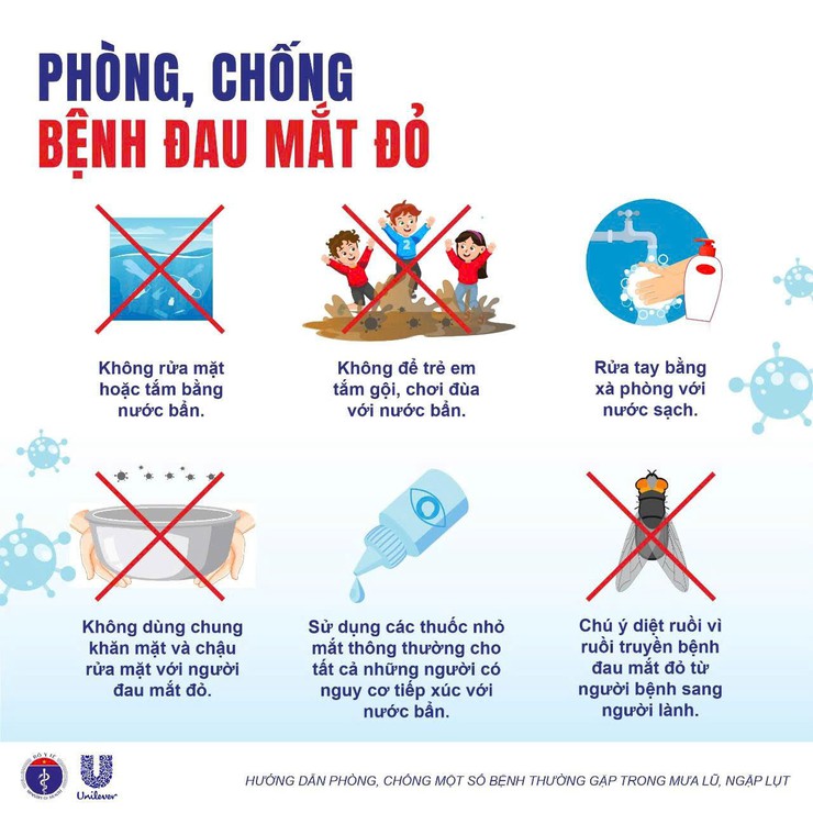 Khuyến cáo Vệ sinh môi trường, phòng chống một số bệnh mùa bão, lũ lụt- Ảnh 3.