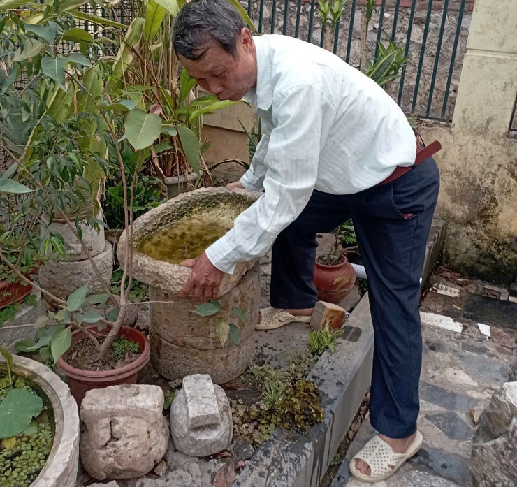 Tăng cường phòng chống dịch bệnh sốt xuất vì sức khỏe của của cả cộng đồng- Ảnh 1.