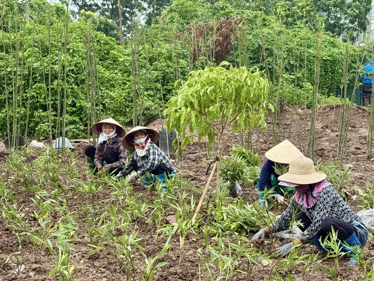 Phường Lĩnh Nam rực rỡ cờ hoa chào mừng Đại hội Đại biểu Đảng bộ Phường lần thứ I, nhiệm kỳ 2025-2030- Ảnh 13.