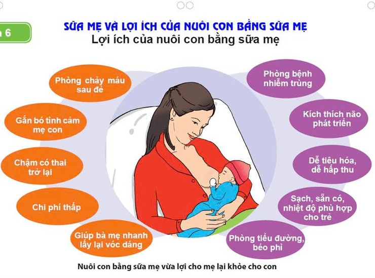 Hưởng ứng Tuần lễ thế giới nuôi con bằng sữa mẹ năm 2025- Ảnh 1.