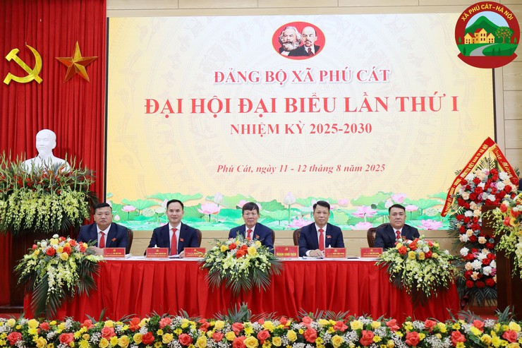 Đại hội Đảng bộ xã Phú Cát lần thứ I: Quyết tâm xây dựng xã giàu đẹp, văn minh- Ảnh 3.