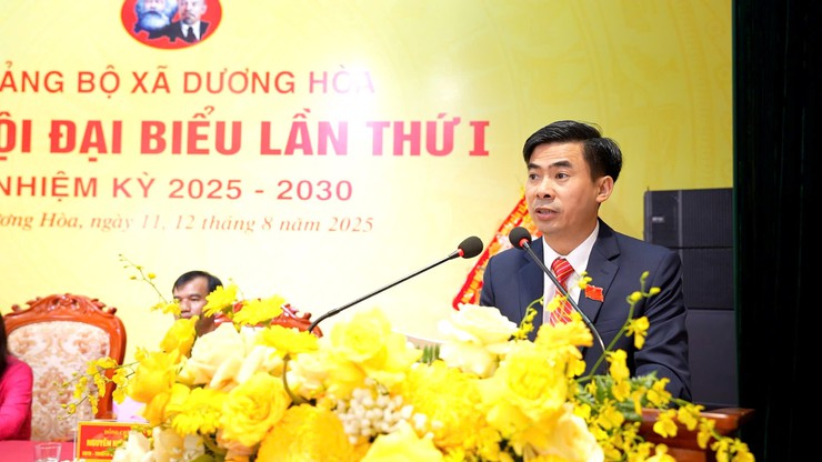 Nhiệm kỳ 2025-2030: Đảng bộ xã Dương Hoà nêu cao ý chí, vững niềm tin, quyết tâm xây dựng xã thành đô thị xanh, văn minh, hiện đại, hạnh phúc- Ảnh 11.