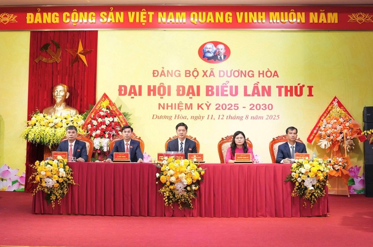 Nhiệm kỳ 2025-2030: Đảng bộ xã Dương Hoà nêu cao ý chí, vững niềm tin, quyết tâm xây dựng xã thành đô thị xanh, văn minh, hiện đại, hạnh phúc- Ảnh 8.