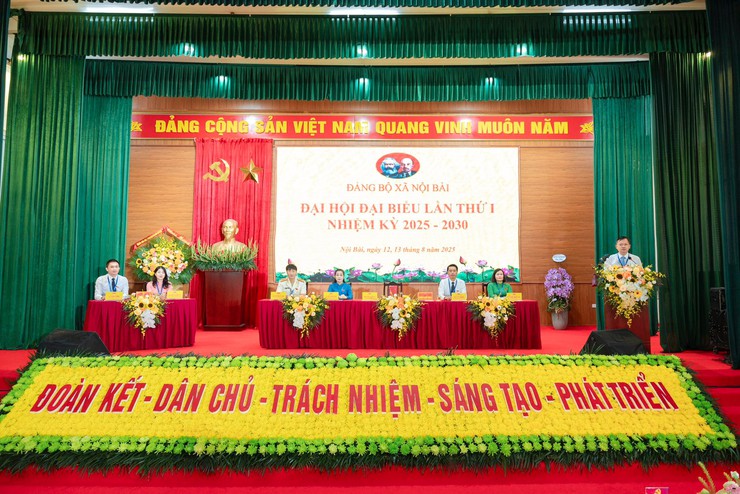 ĐẠI HỘI ĐẠI BIỂU ĐẢNG BỘ XÃ NỘI BÀI TỔ CHỨC PHIÊN TRÙ BỊ- Ảnh 7.