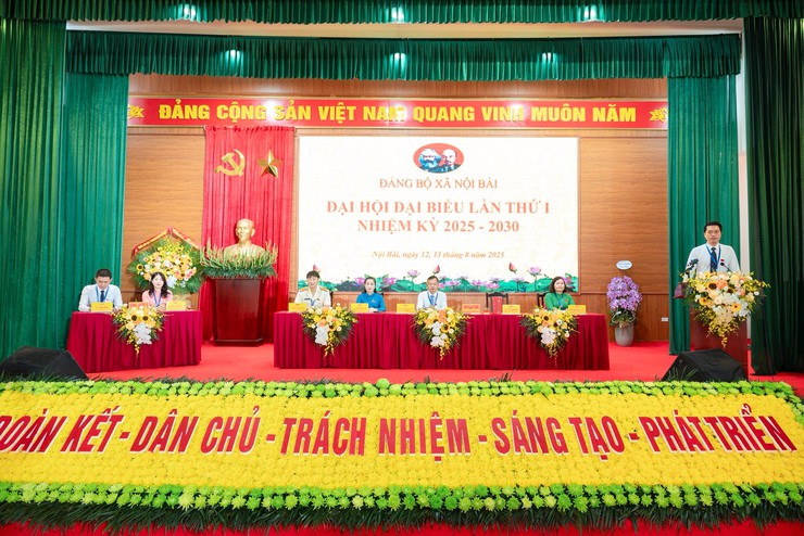 ĐẠI HỘI ĐẠI BIỂU ĐẢNG BỘ XÃ NỘI BÀI TỔ CHỨC PHIÊN TRÙ BỊ- Ảnh 8.
