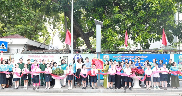 Ra mắt tuyến phố Hoa rực rỡ tại phường Hai Bà Trưng- Ảnh 1.
