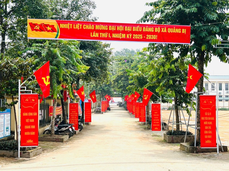 Tổ chức treo cờ Đảng, cờ Tổ quốc tuyên truyền trực quan chào mừng Đại hội Đảng các cấp và kỷ niệm 80 năm Cách mạng Tháng Tám, Quốc Khánh 2/9- Ảnh 2.