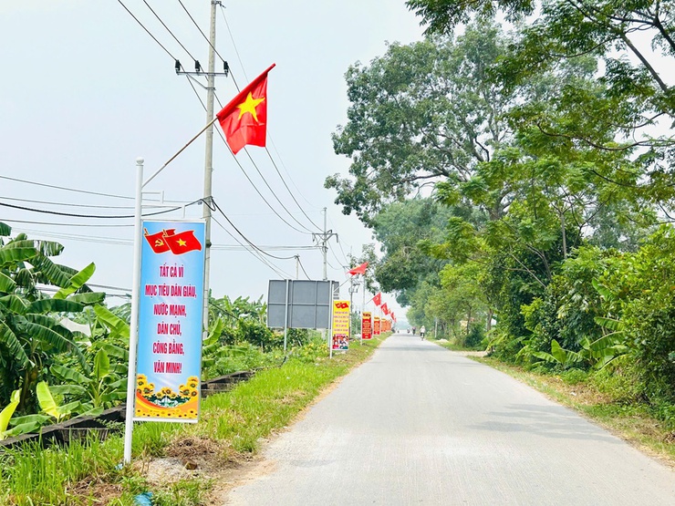 Tổ chức treo cờ Đảng, cờ Tổ quốc tuyên truyền trực quan chào mừng Đại hội Đảng các cấp và kỷ niệm 80 năm Cách mạng Tháng Tám, Quốc Khánh 2/9- Ảnh 5.