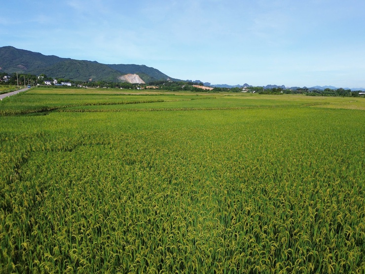 Xây dựng xã Xuân Mai phát triển bền vững- Ảnh 5.