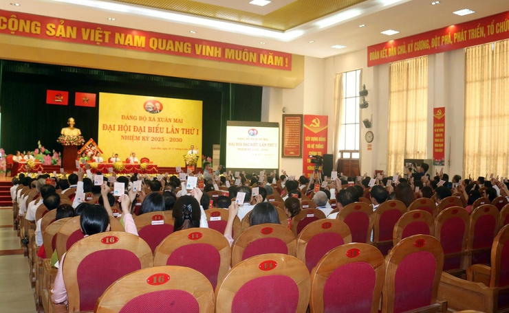 Đại hội đại biểu Đảng bộ xã Xuân Mai lần thứ I, nhiệm kỳ 2025-2030 tiến hành phiên trù bị- Ảnh 3.
