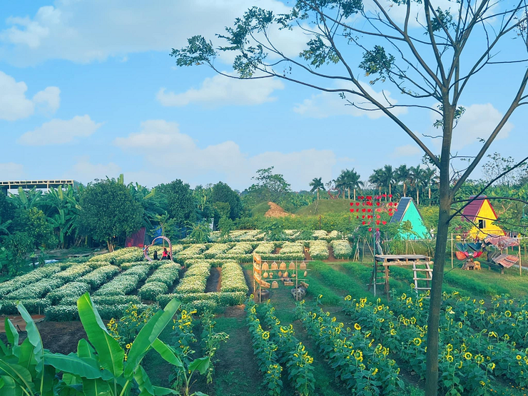 Hồng Vân: Miền quê đáng sống ven đô, điểm sáng du lịch cộng đồng Hà Nội- Ảnh 3.