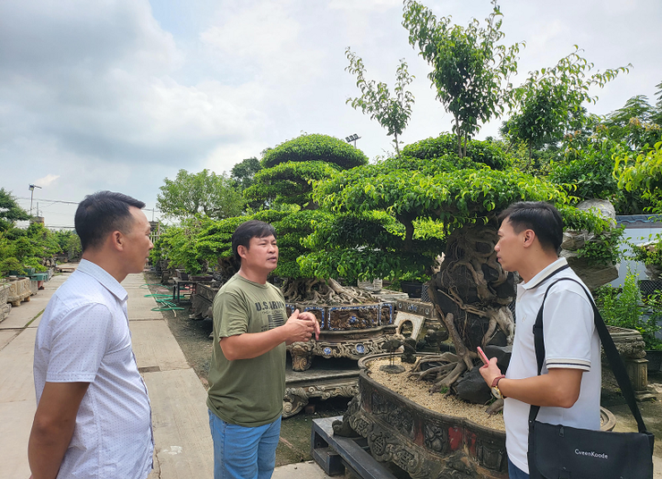 Hồng Vân: Miền quê đáng sống ven đô, điểm sáng du lịch cộng đồng Hà Nội- Ảnh 1.