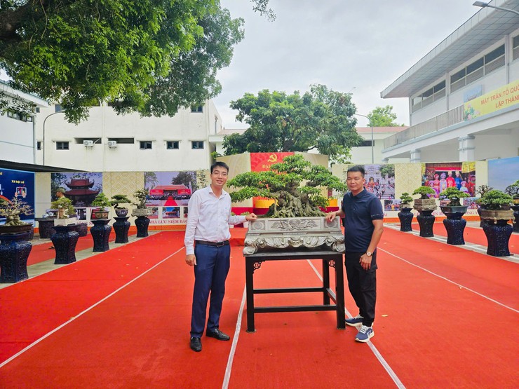 HỘI NÔNG DÂN XÃ THƯ LÂM CHUẨN BỊ TRƯNG BÀY CÂY CẢNH NGHỆ THUẬT- Ảnh 5.