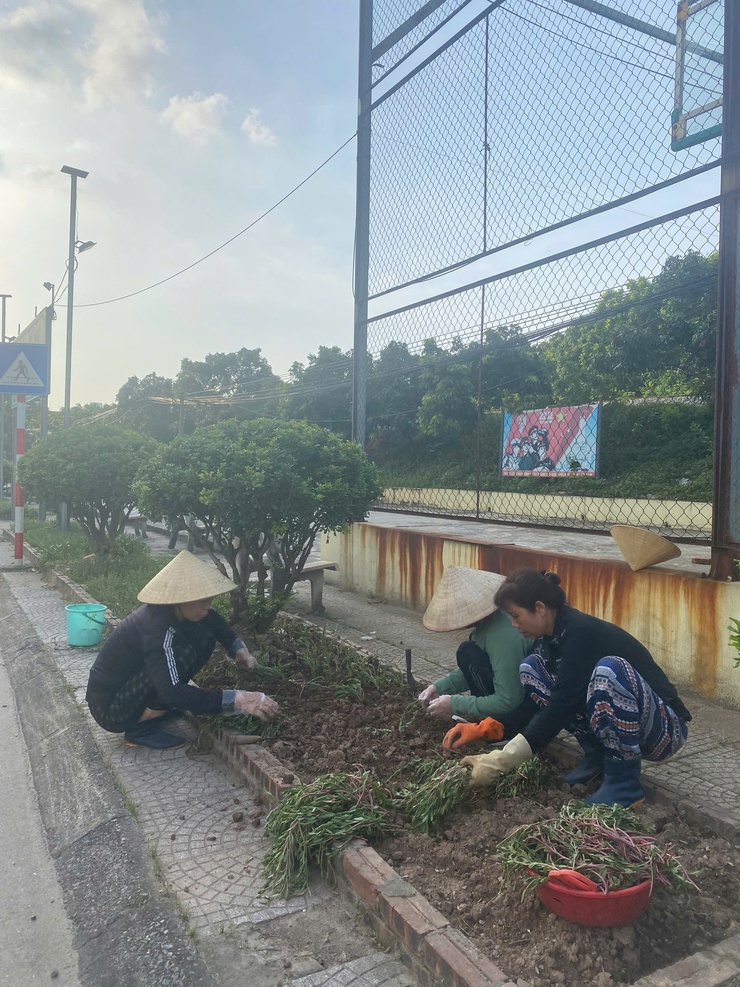 Mặt trận tổ quốc Việt Nam phường Bồ Đề tổ chức tổng vệ sinh môi trường - Ảnh 7.