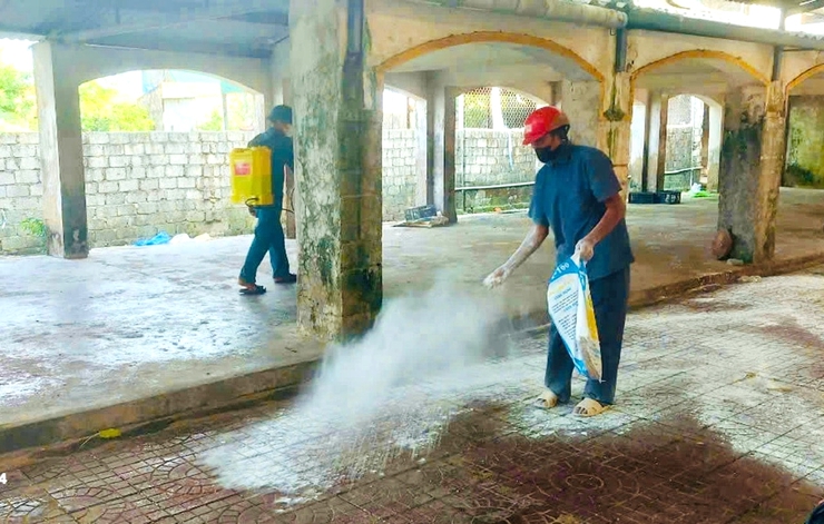 Thạch Thất triển khai tổng vệ sinh, khử trùng, tiêu độc, phòng chống dịch Tả lợn Châu Phi- Ảnh 1.