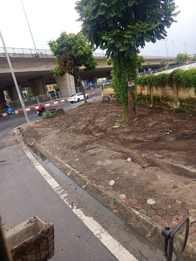 Mặt trận tổ quốc Việt Nam phường Bồ Đề tổ chức tổng vệ sinh môi trường - Ảnh 16.