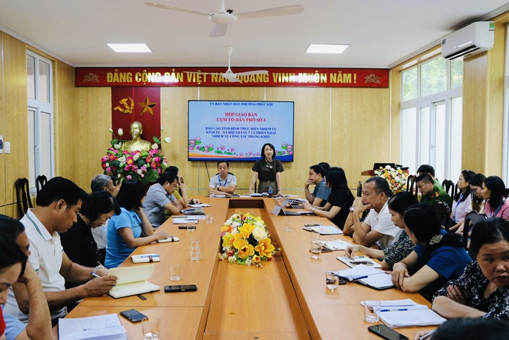 Phân công cán bộ, công chức theo dõi hoạt động tổ dân phố - Giải pháp đổi mới trong chỉ đạo, điều hành của phường Phúc Lợi- Ảnh 2.