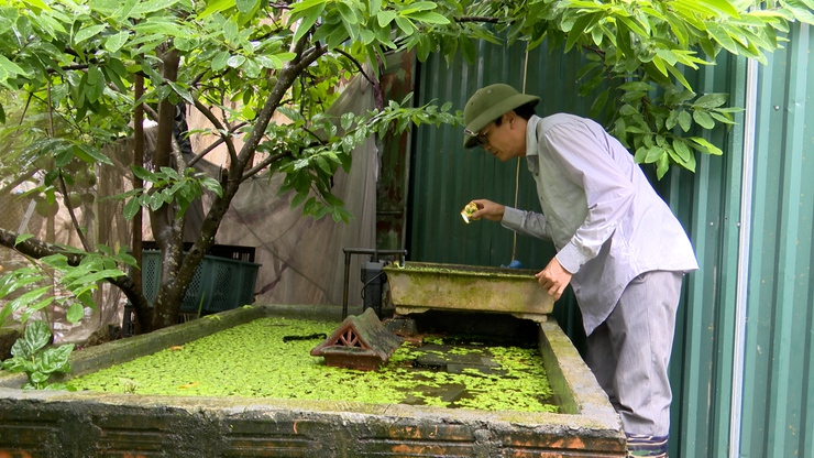 Trạm y tế xã Chuyên Mỹ: Ra quân tổng vệ sinh môi trường phòng chống dịch bệnh sốt xuất huyết- Ảnh 2.