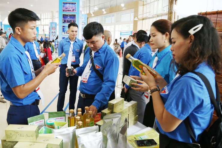 Hà Nội phê duyệt 55 quy trình điện tử giải quyết thủ tục hành chính lĩnh vực doanh nghiệp, quỹ đầu tư khởi nghiệp sáng tạo và hộ kinh doanh- Ảnh 1.