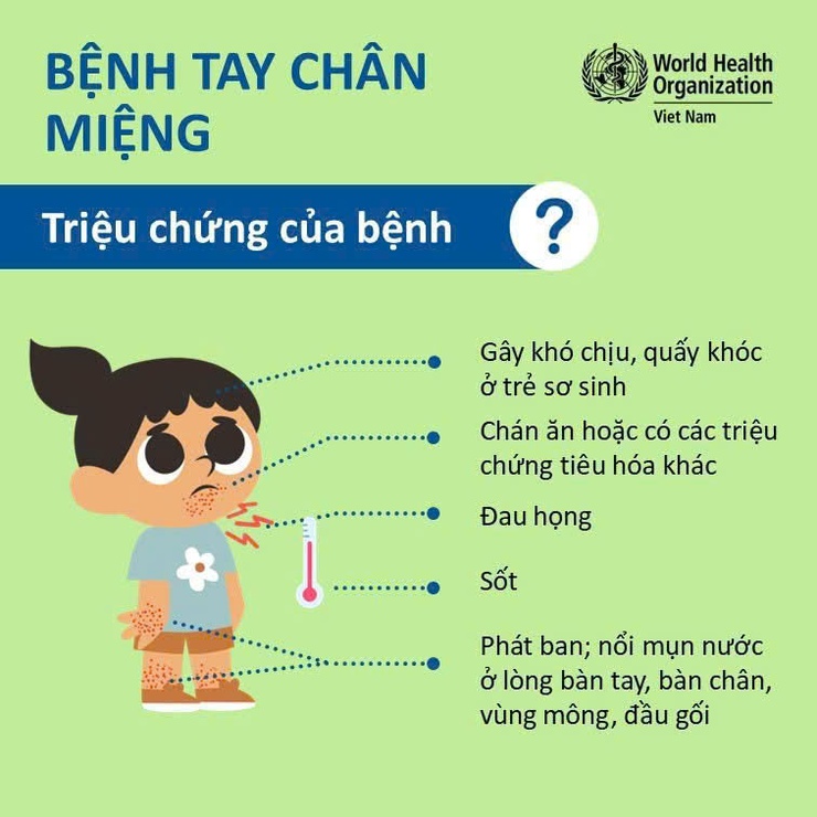 Chủ động phòng tránh bệnh chân tay miệng- Ảnh 1.