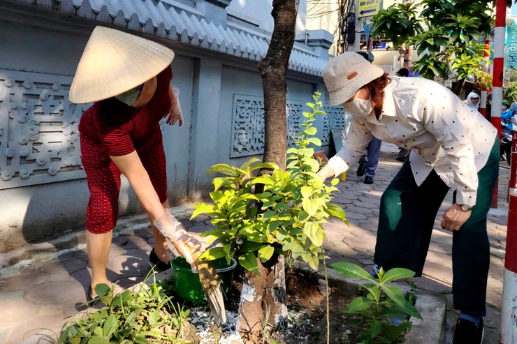 Chùm ảnh: Phường Thanh Xuân đồng loạt tổ chức ra quân tổng vệ sinh môi trường trên toàn địa bàn- Ảnh 4.
