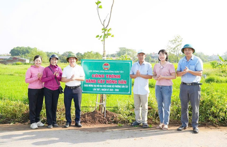 HỘI NÔNG DÂN PHƯỜNG SƠN TÂY TỔ CHỨC GẮN BIỂN “HÀNG CÂY NÔNG DÂN”- Ảnh 1.