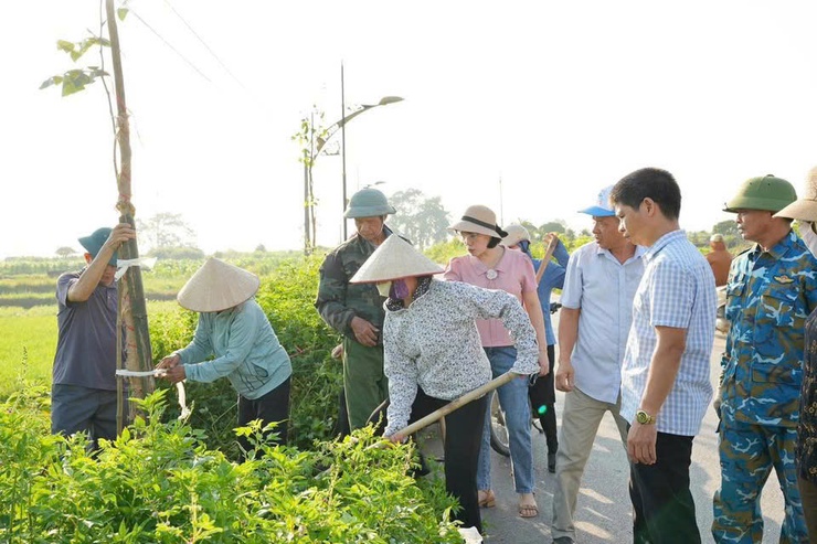 HỘI NÔNG DÂN PHƯỜNG SƠN TÂY TỔ CHỨC GẮN BIỂN “HÀNG CÂY NÔNG DÂN”- Ảnh 3.