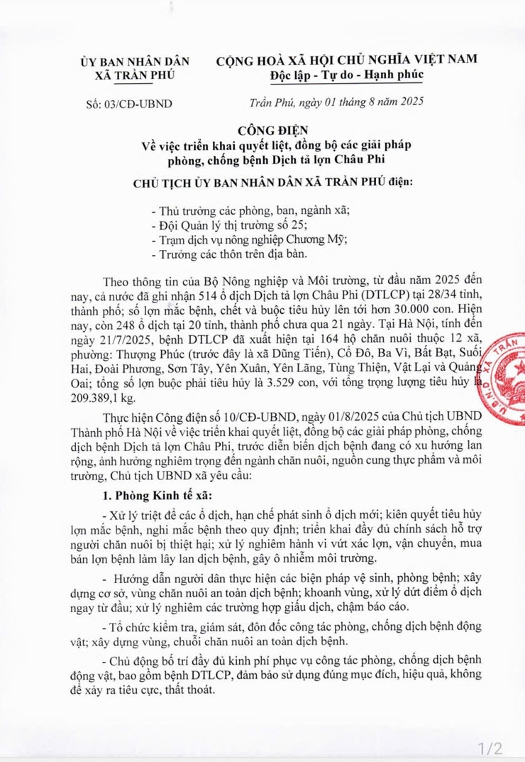 Công điện- Ảnh 1.