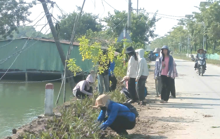 ỨNG HOÀ PHÁT ĐỘNG TỔNG RA QUÂN VỆ SINH MÔI TRƯỜNG.- Ảnh 12.