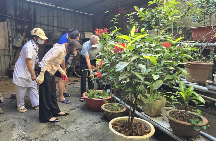 Phường Long Biên ra quân tổng vệ sinh môi trường phòng, diệt bọ gậy, phòng chống dịch sốt xuất huyết- Ảnh 6.