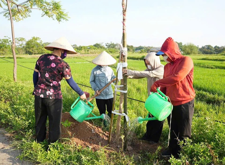 HỘI NÔNG DÂN PHƯỜNG SƠN TÂY TỔ CHỨC GẮN BIỂN “HÀNG CÂY NÔNG DÂN”- Ảnh 2.